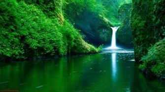 Nature Image To Wonderful Wallpaper