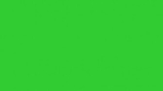 Resolution Lime Green Solid Color Background And