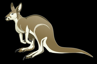 Kangaroo Png Transparent Image Background