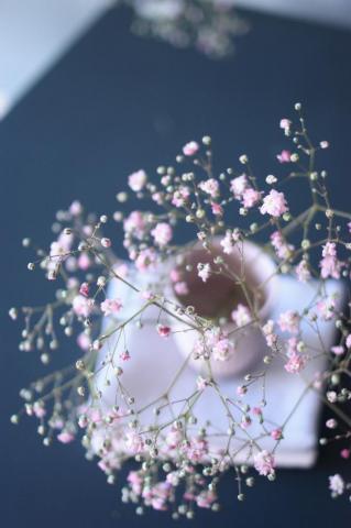 Baby S Breath Bouquet I Shot In Hamburg Attractive