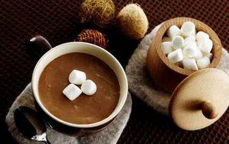 Chocolate Cookies HD Wallpaper Background Photos