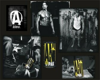 Animal Pak Ad Fight Bg