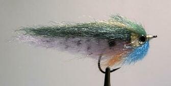 Bluegill Fish Mounts Replicas Image Crazy Gallery
