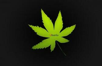 Similar Galleries HD Weed Wallpaper 1080p Car Pictures