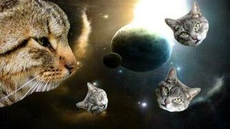 Cats In Space Wallpaper By Dilbert92