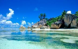 Tropical Background HD Net