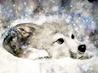 Baby Wolf Wallpaper Pictures To Pin