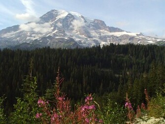 Mt Rainier Wallpaper Desktop Background Computer By