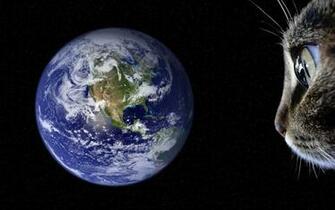 Outer Space Cats Earth HD Wallpaper Planets