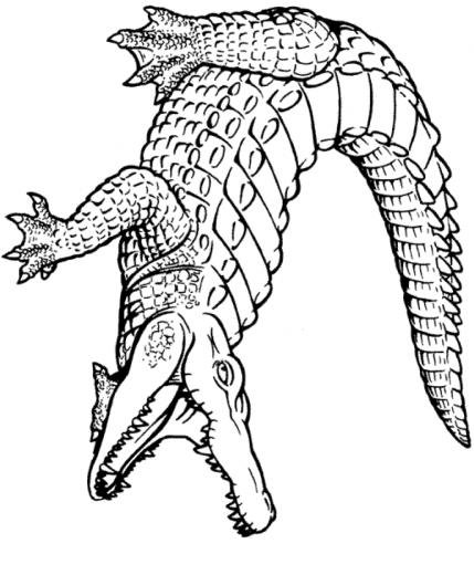 Crocodile Mask Template