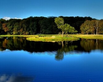 Landscapes Trees Lakes Albania Normal
