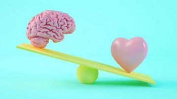The Brain And Heart Want Different Blood Pressure Goals Med