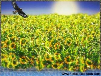 Top Nice Nature Desktop Wallpaper And Background Surreal