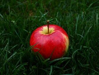 Wallpaper Apple Fruit Grass