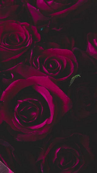 2b2e2b2cd50faad6ca7e4bf21d819b10 Wallpaper