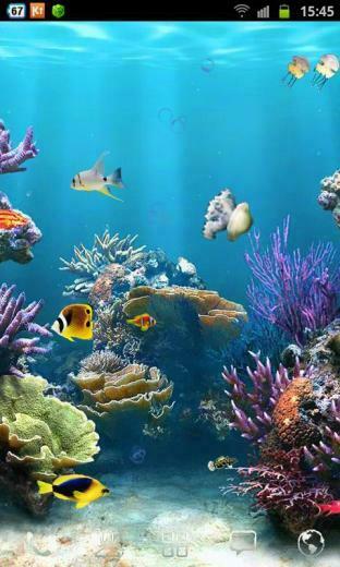 Tags Live Wallpaper Coral HD Background