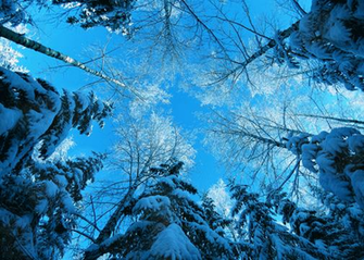 Best Winter Wallpaper Computer