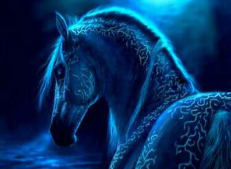 Abstract Animal Photography Amazing Wallpaper