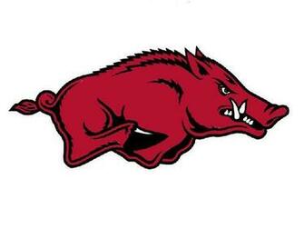 Arkansas Razorbacks
