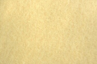 Light Colored Parchment Paper Texture High Resolution Photo