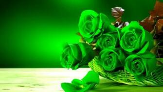 Green Rose HD Wallpaper Pictures Of Beautiful Flowers