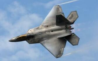 Raptor Wallpaper High Resolution F