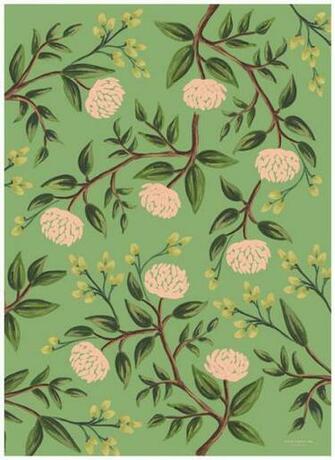 Rifle Paper Co Wrapping