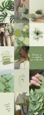 100pcs Sage Green Wall Collage Kit Boho Aesthetic Soft Uk