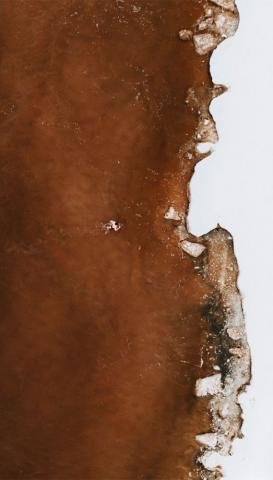 Minimalist Brown Wallpaper iPhone Ideas For