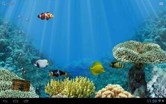 Live Wallpaper For Lovers Of Nature And Animal Beautiful