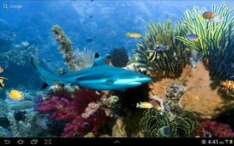 Tropical Fish Live Wallpaper Screenshot