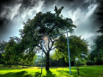 Beautiful Tree Wallpaper Stocks