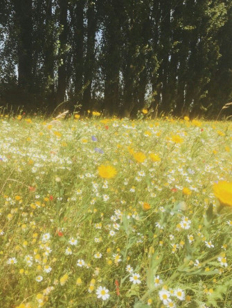 On Wallpaper
