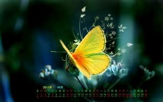 And Wallpaper Also Find Here Top Quality For To