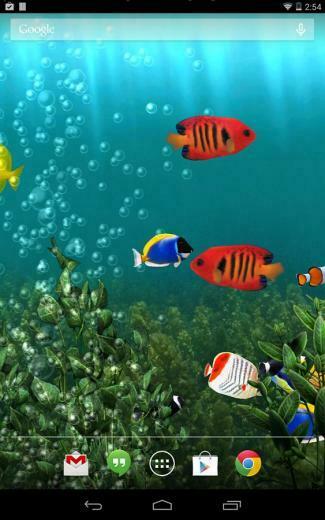 Ecran Gratuit Animee Fond Aquarium Anime HD Wallpaper Memes
