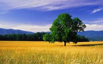 Nature Wallpaper HD Pack Desktop Wide