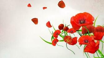 Desktop Poppies