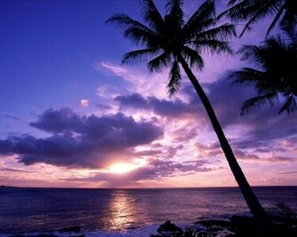 Cool HD Nature Desktop Wallpaper Tropical Sunset