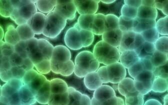 Cells Wallpaper