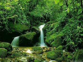 Japan Beautiful Nature Waterfall Wallpaper For