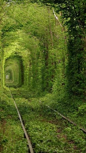 Rail Way Tunnel Ukraine Nature Desktop Pc And Mac Wallpaper