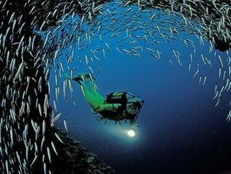 People Mask Underwater Fishes Ocean Caves Nature Wallpaper Background