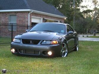 Car Challenges Ford Cobra Svt Vs Mustang