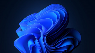 Windows Blossoms With Bloom A New Symbol For