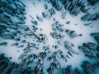 Winter Image HD Pictures Photos