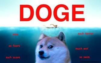 Doge Meme Wallpaper With Image
