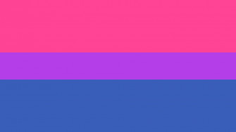 Michael Bisexual Pride Flag Queer Art History