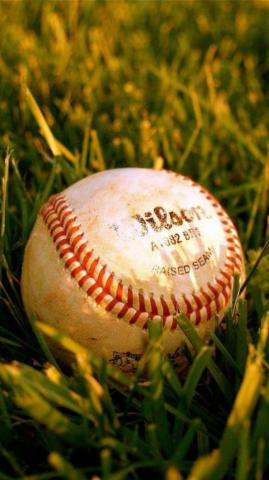 Baseball Wallpaper HD For iPhone Net