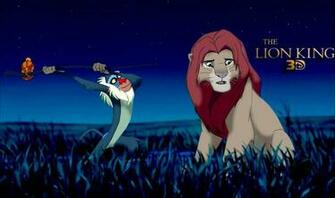 Adult Simba And Mufasa For Fans Of The Lion
