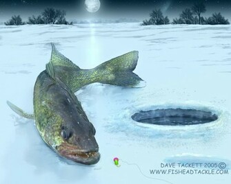 Walleye On The Ice